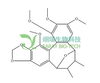 南五味子木脂素L HPLC≥98% 中药对照品 标准品 CAS:163660-06-8