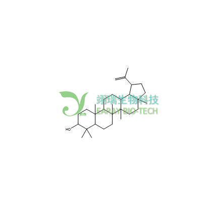 羽扇豆醇 HPLC>98% 中药标准品 对照品