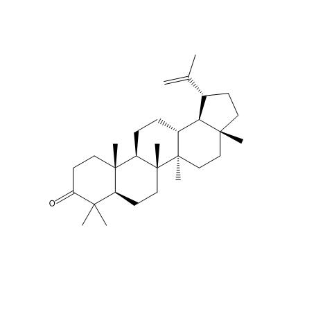 羽扇烯酮,羽扇豆烯酮 HPLC>98% 中药标准品 对照品