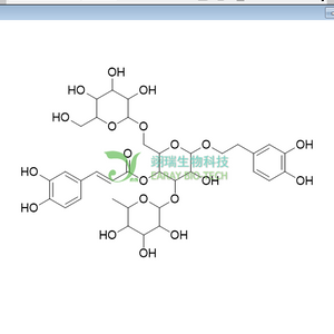 松果菊苷 HPLC>98% 中药标准品 对照品