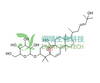 苦瓜皂苷 P HPLC≥98% 中药标准品 对照品