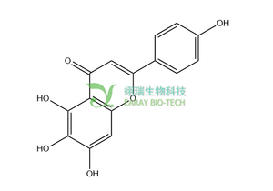 野黄芩素 HPLC≥98% 中药对照品 标准品 CAS：529-53-3