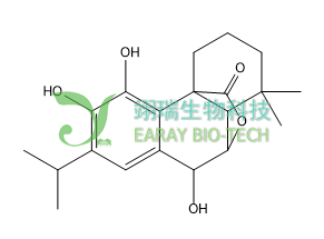 迷迭香酚 HPLC≥98% 中药标准品 对照品