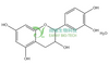 (+)-儿茶素 水合儿茶素 儿茶酸 (+)-Catechin hydrate 225937-10-0 天然产物 对照品 标准品