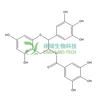茶多酚 Tea Polyphenols 84650-60-2 天然产物 标准品 对照品