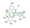 飞燕草素半乳糖苷;飞燕草-3-半乳糖苷氯化物 HPLC98% Delphinidin 3-galactoside chloride CAS：68852-84-6 中药对照品 分析标准品
