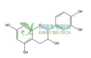 儿茶素 Catechin（C） 154-23-4 天然产物 对照品 标准品