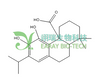 鼠尾草酸 HPLC≥98% 中药标准品 对照品
