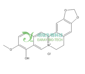 小檗红碱 HPLC≥98% Berberrubine Chloride 15401-69-1 天然产物 中草药 对照品 标准品