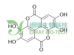 鞣花酸 HPLC≥98% 中药标准品 对照品