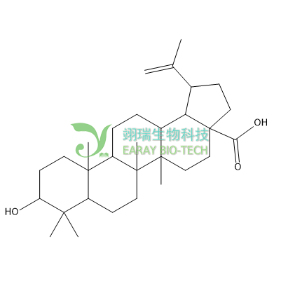 白桦酯酸 98% CAS： 472-15-1   中药对照品 标准品